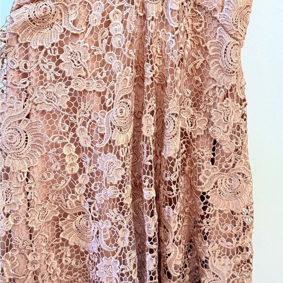 JVN Embroidered Lace Dress in Tan - Picture 8 of 11